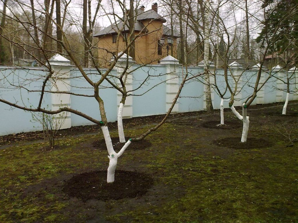 Квартиры посуточно — идеальная альтернатива гостинице!